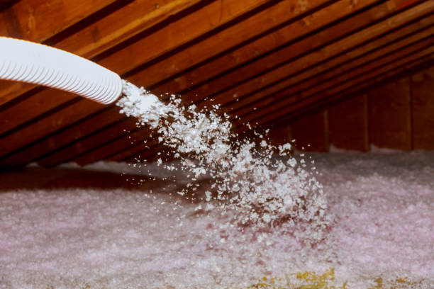  Wanamingo, MN Insulation Contractor Pros