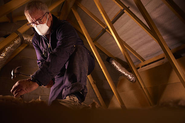 Types of Insulation We Offer in Wanamingo, MN